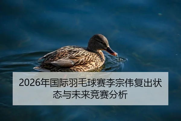 2026年国际羽毛球赛李宗伟复出状态与未来竞赛分析