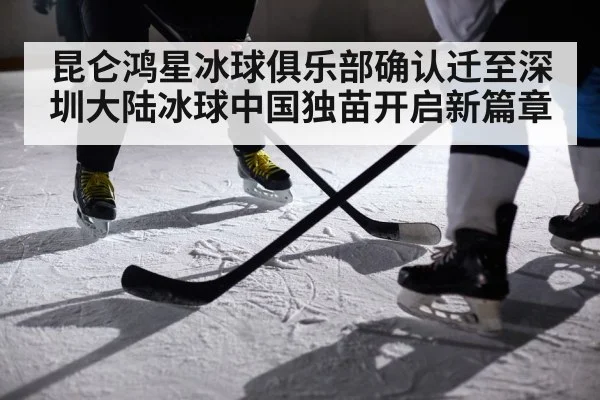 ice hockey players